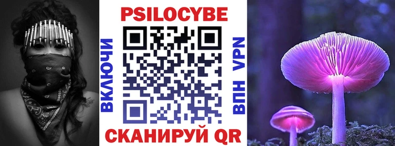 Псилоцибиновые грибы Cubensis  блэк спрут ссылка  Поронайск 